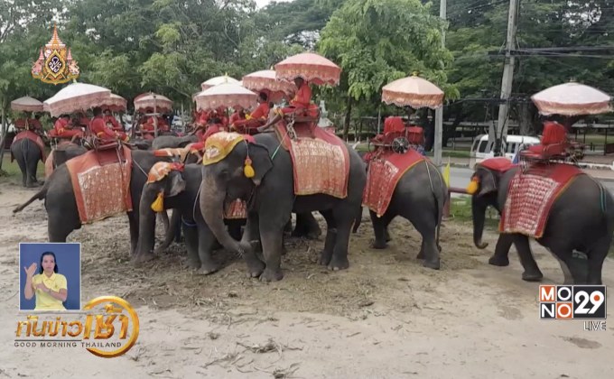 สั่งย้ายปางช้างอยุธยาฯ พ้นโบราณสถานใน 30 วัน
