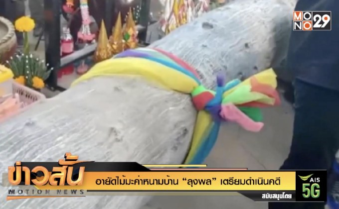 อายัดไม้มะค่าหนามบ้าน “ลุงพล” เตรียมดำเนินคดี