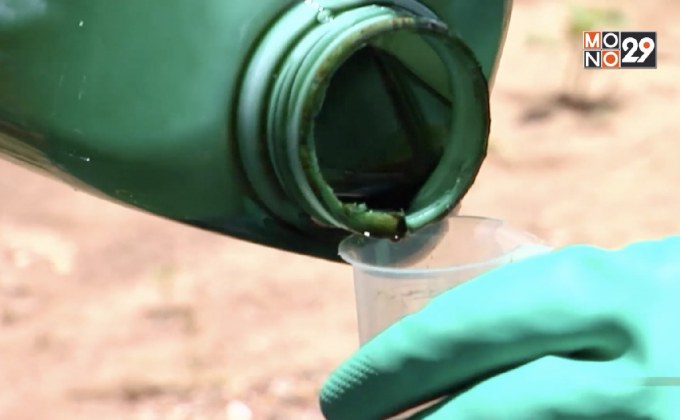 กลุ่มหนุน-ต้านแบน 3 สารเคมี นัดประกาศจุดยืนพรุ่งนี้