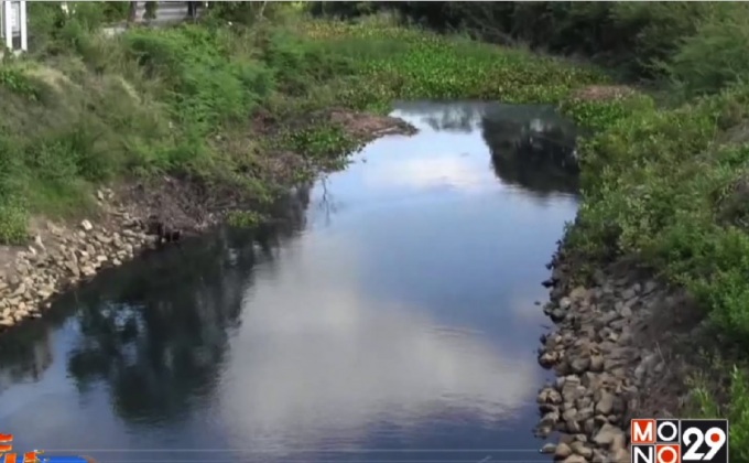 ร้องแก้ปัญหาน้ำในคลองสาหร่ายเน่าเสีย