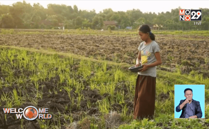 จี้อินโดฯ คุ้มครองแรงงานเด็กในไร่ยาสูบ