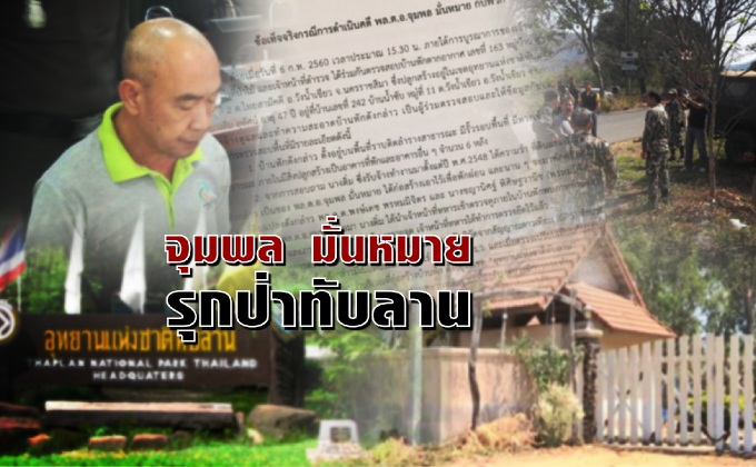 จุมพล มั่นหมาย ..รุกป่าทับลาน