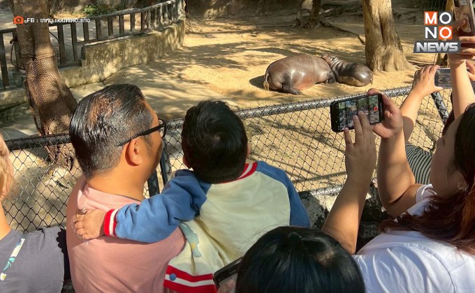 น้องออโต้” วัย 6 ขวบ ป่วยมะเร็ง ขอดู “หมูเด้ง” ครั้งสุดท้าย ก่อนจากไปอย่างสงบ