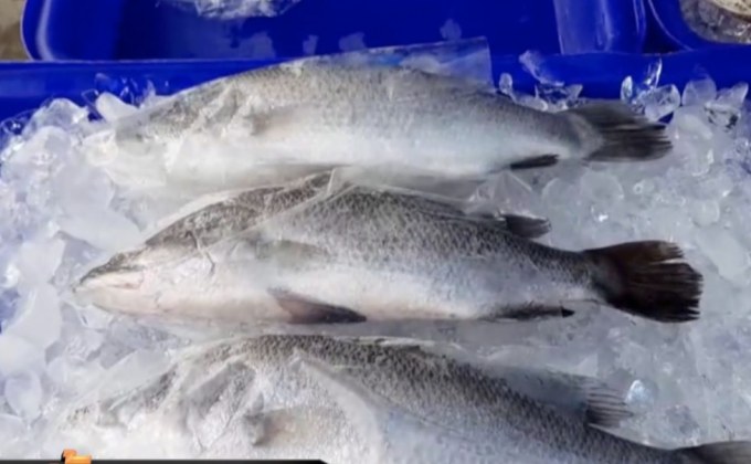 โควิด-19 กระทบประมง