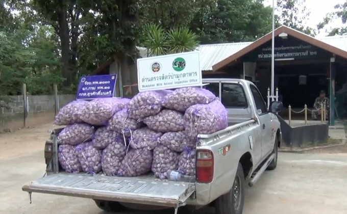 จับกระเทียมเถื่อนข้ามโขงกว่า 400  กิโลกรัม