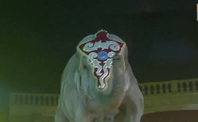 ประมูลภาพวาดผลงานช้างอินเดีย