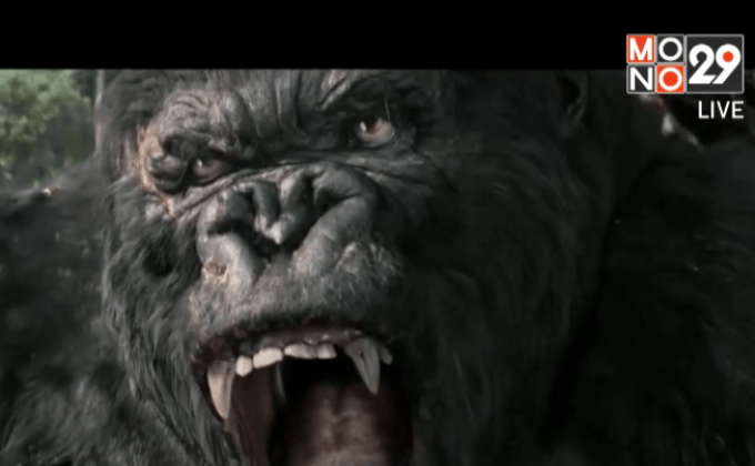 มีลุ้นศึกใหญ่! ไดโนเสาร์ ปะทะ คิงคองยักษ์