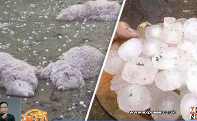 สเปนเผชิญพายุลูกเห็บรุนแรง