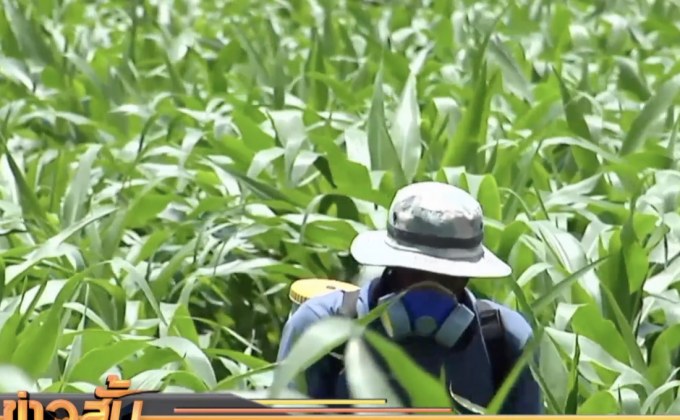 ภท.ยัน “อนุทิน-มนัญญา” ลุยแบน 3 สารเต็มที่แล้ว