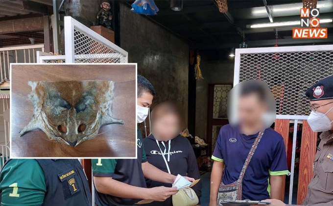 รวบแล้ว! สองสามีภรรยาแอดมินเพจ ลักลอบค้าซากเสือไฟ ส่งขายสายมู