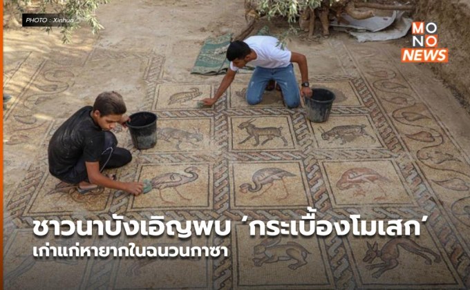 ชาวนาบังเอิญพบ ‘กระเบื้องโมเสก’ เก่าแก่หายากในฉนวนกาซา