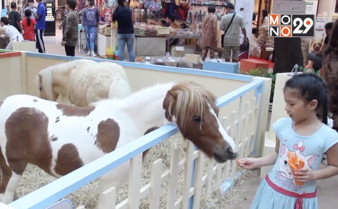 ซีคอนสแควร์ จัดงาน “Pet Planet ตอน Animals From A-Z”