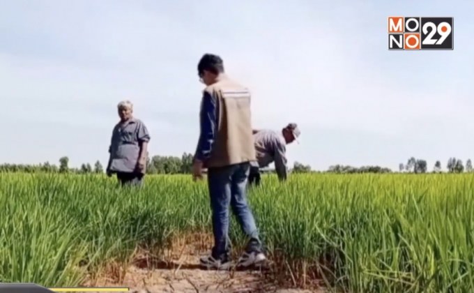 เร่งช่วยชาวนาอยุธยาขาดแคลนน้ำ