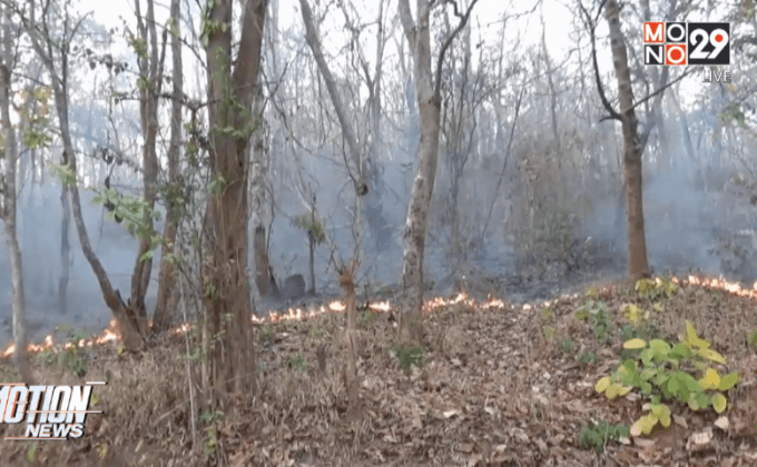 จ.แม่ฮ่องสอน เฝ้าไฟป่า 24 ชั่วโมง