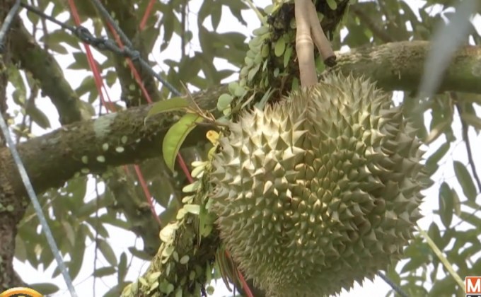 ข่าวเด่นรอบวัน 13-05-62