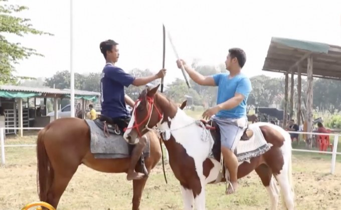 ​อาชีพม้าสตั๊น สร้างรายได้ดี แต่ต้องมีใจรัก