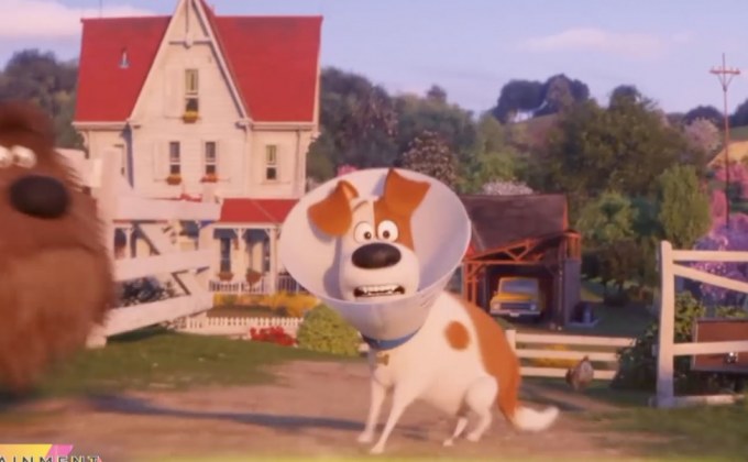 Secret Life of Pets 2