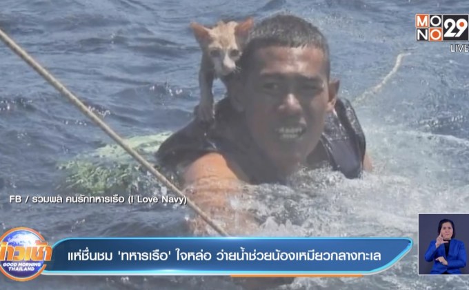 แห่ชื่นชม ‘ทหารเรือ’ ใจหล่อ ว่ายน้ำช่วยน้องเหมียวกลางทะเล