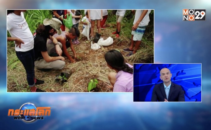 โครงการหนุนเด็กปลูกต้นไม้ในคอสตาริกา