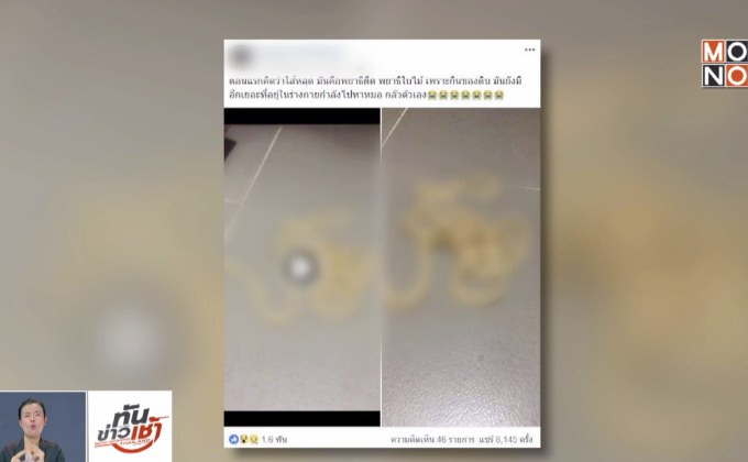 คนชอบกินดิบสุดช็อก ถ่ายท้องพบพยาธิตัวตืดยาวเกือบ 4 เมตร