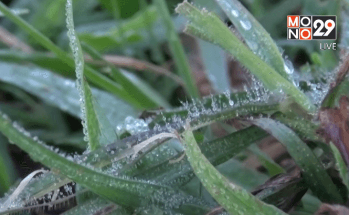 แม่คะนิ้งแรกอุทยานแห่งชาติภูหินร่องกล้า