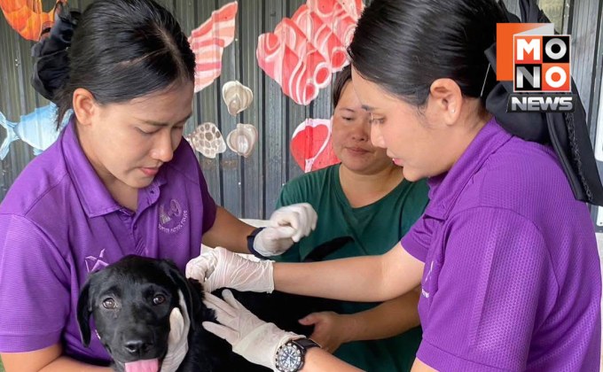 น้องหมาผ่านรอบ 2 เตรียมเป็นสุนัขตำรวจรุ่นใหม่