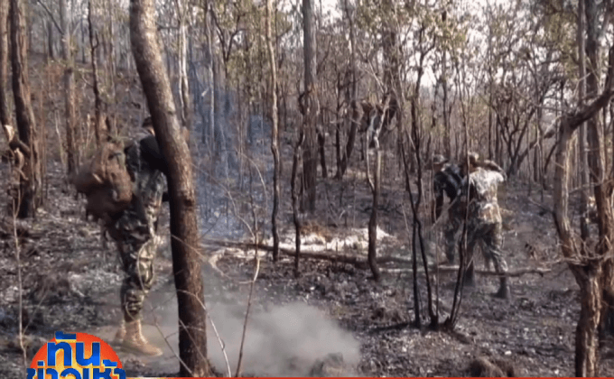 สั่งเร่งหาตัวมือเผาป่า จ.เชียงใหม่