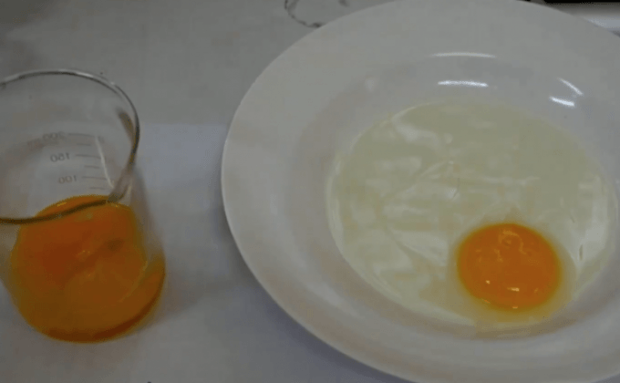 พบไข่ไก่ปลอม จ.เชียงราย