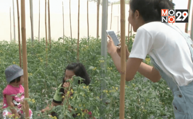 เที่ยวสวนเกษตรแนวใหม่ ใจกลางเมืองสุรินทร์