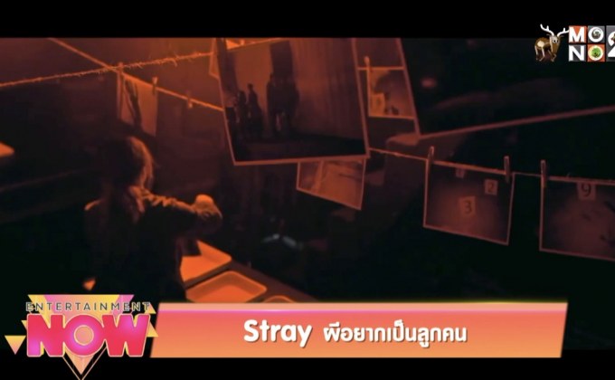 Stray ผีอยากเป็นลูกคน