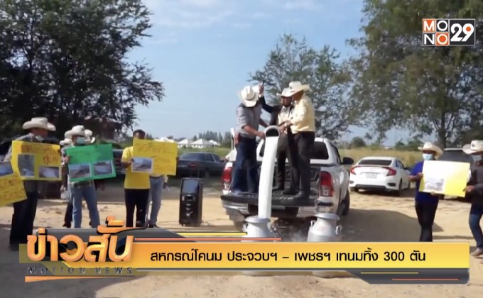 สหกรณ์โคนม ประจวบฯ – เพชรฯ เทนมทิ้ง 300 ตัน