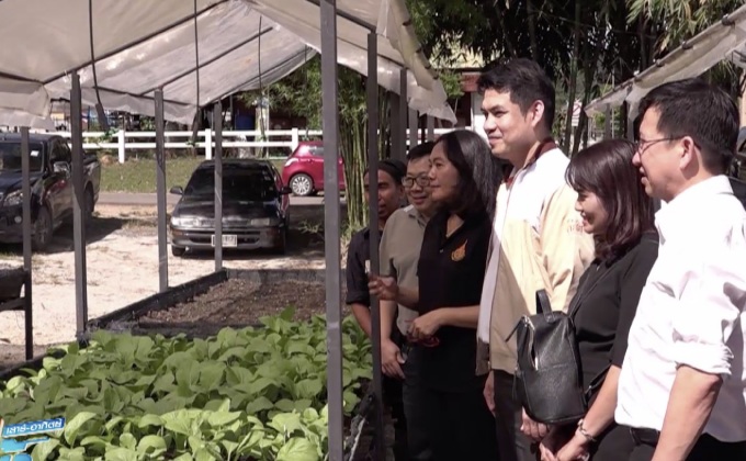 ตลาดเกษตร ม.อ.ต้นแบบอาหารปลอดภัย