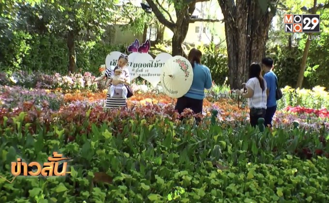 งานเชียงรายดอกไม้งาม ครั้งที่ 15