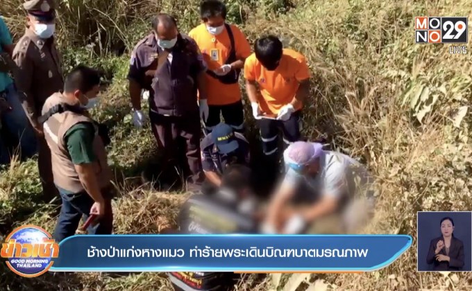 ช้างป่าแก่งหางแมว ทำร้ายพระเดินบิณฑบาตมรณภาพ