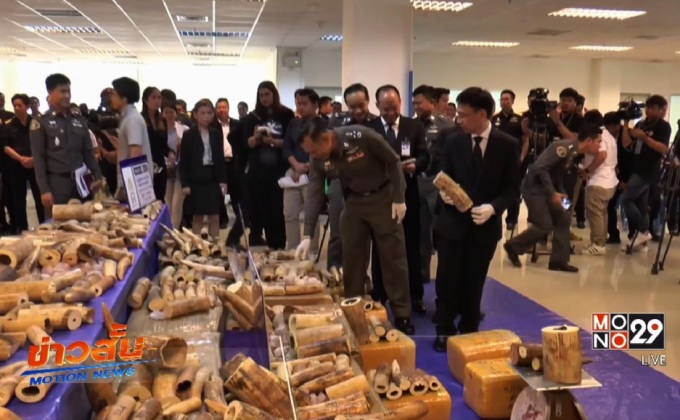 ตรวจยึดงาช้างลักลอบนำเข้ามูลค่ากว่า 17 ล้าน