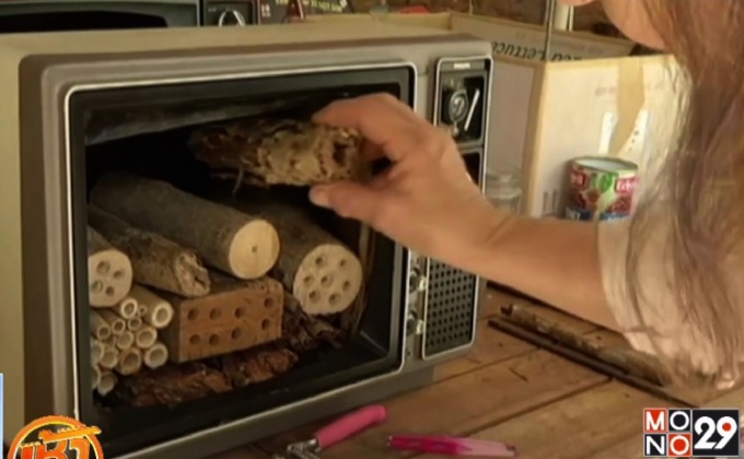 ดัดแปลงโทรทัศน์เก่าเป็น “รังผึ้ง”