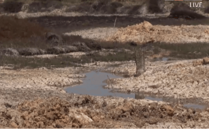 จ.สุรินทร์ ประกาศพื้นที่ภัยแล้ง 1 อำเภอ