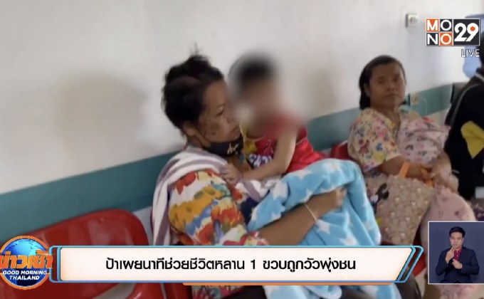 ป้าเผยนาทีช่วยชีวิตช่วยหลาน 1 ขวบถูกวัวพุ่งชน