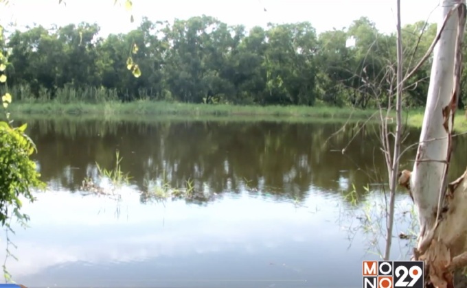 พบจระเข้ใกล้บึงบอระเพ็ด จ.นครสวรรค์