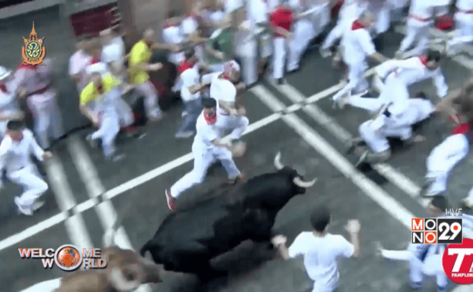 เปิดฉากเทศกาลวิ่งวัวกระทิงที่สเปน