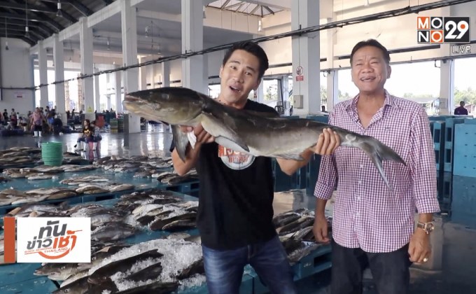 เจษฎาพาลุย : ชมสีสันยามเช้าตลาดปลา จ.ระนอง