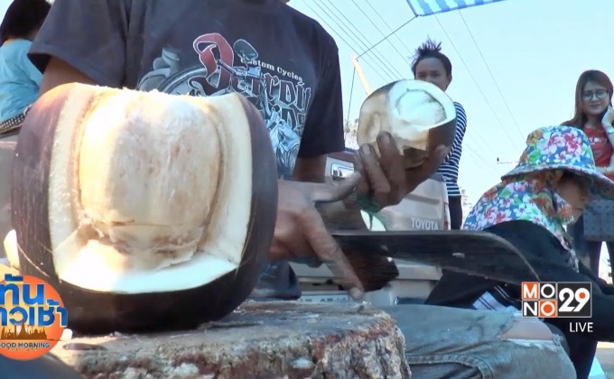 ชวนชิมลูกตาลสด ของดี อ.นาดูน จ.มหาสารคาม