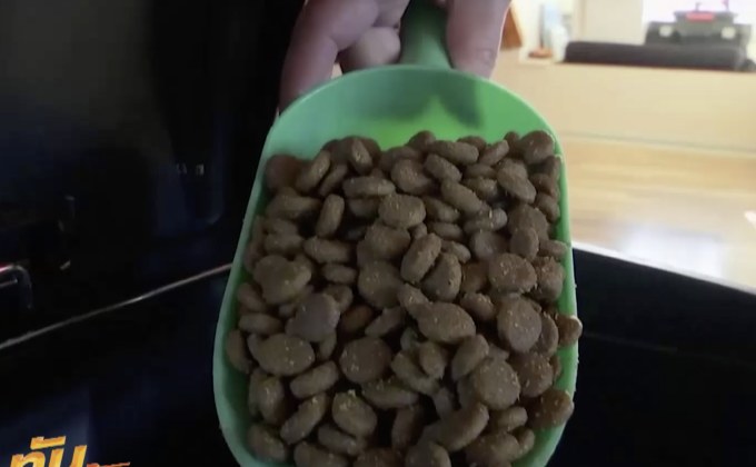 ​ร้านอาหารสัตว์เลี้ยงในสหรัฐฯ แบนส่วนผสมปลอม