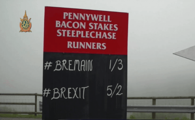 เกษตรกรอังกฤษจัดวิ่งแข่งหมูทายผลประชามติ