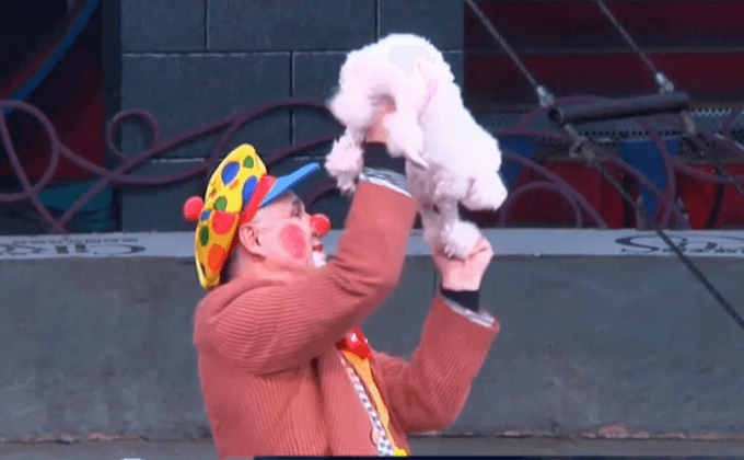 เมืองแห่งคณะละครสัตว์ในจีน