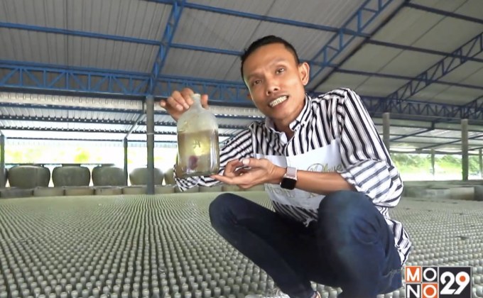 Next Millionaire ธุรกิจพิชิตรวย ตอน : “Betta Berry Thailand” ยกปลากัดไทยสู่ตลาดออนไลน์ส่งขายทั่วโลก