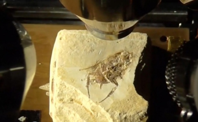 อังกฤษค้นคว้าเรื่องสิ่งมีชีวิตบนดาวอังคาร