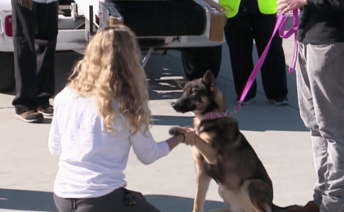 ลูกสุนัขรอดชีวิตจากทะเล