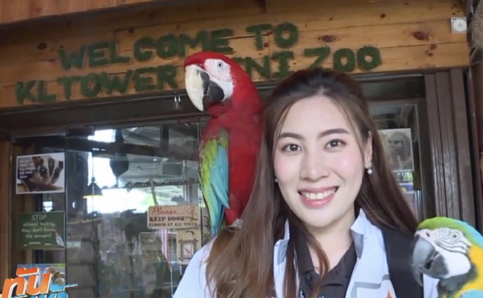 “เคแอล ทาวเวอร์ มินิ ซู” มากกว่าสวนสัตว์ธรรมดา