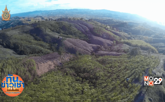 แผนปฏิบัติการฟื้นป่าภาครัฐ ที่คาดหวังให้ยั่งยืน